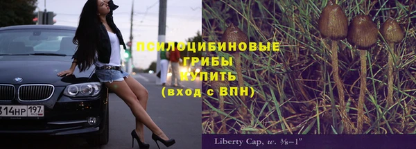 гидропоника Абаза