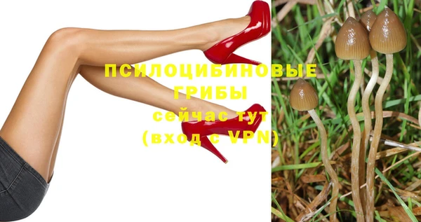 амф Абинск