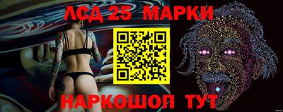 Альфа ПВП Краснокаменск