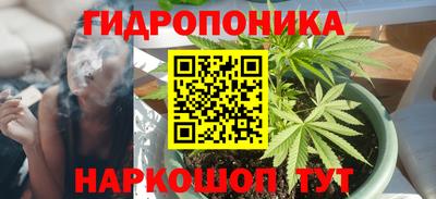 гидропоника Краснознаменск