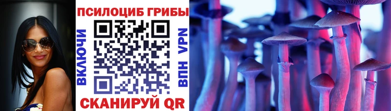 Галлюциногенные грибы мицелий KRAKEN ССЫЛКА Шали
