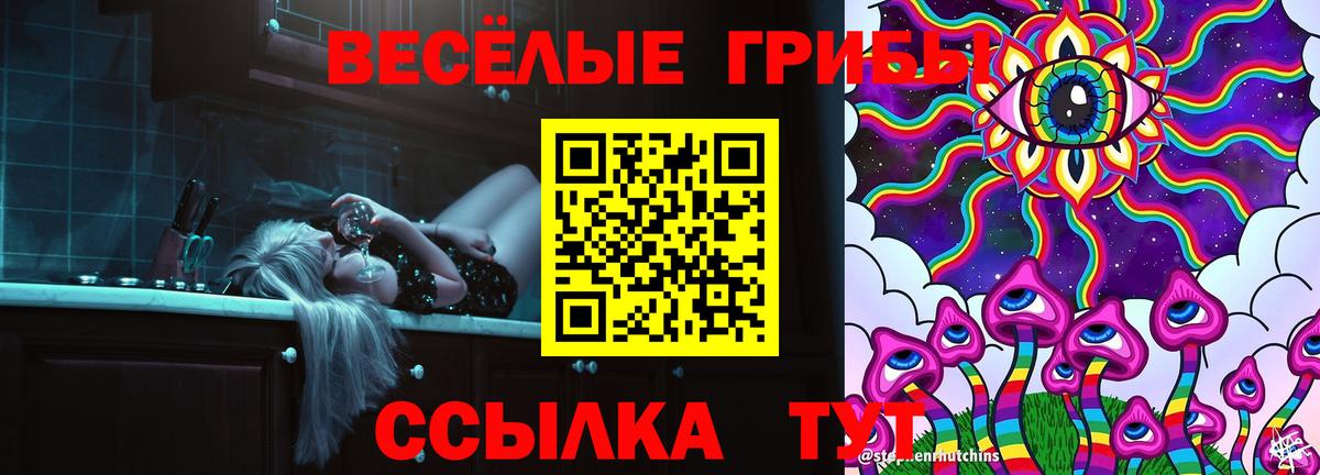 Шали  Псилоцибиновые грибы Psilocybe  Галлюциногенные грибы мицелий  Вход с VPN 