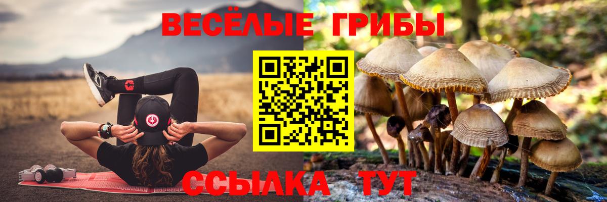 Галлюциногенные грибы Psilocybe Шали